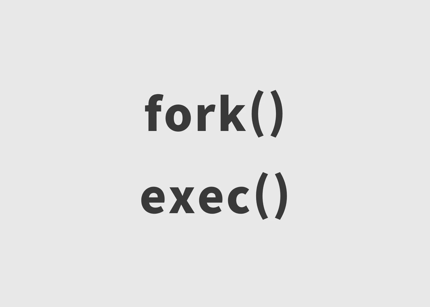 [면접 질문] Fork와 Exec의 차이