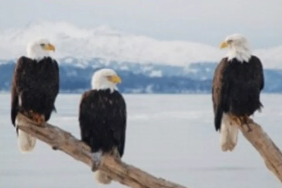 [Effective C++] item 02 대표 이미지